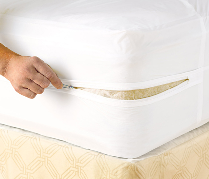 , Mattress Covers – Bed Bug Early Detection
