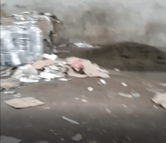 Mouse-and-rat-infestation