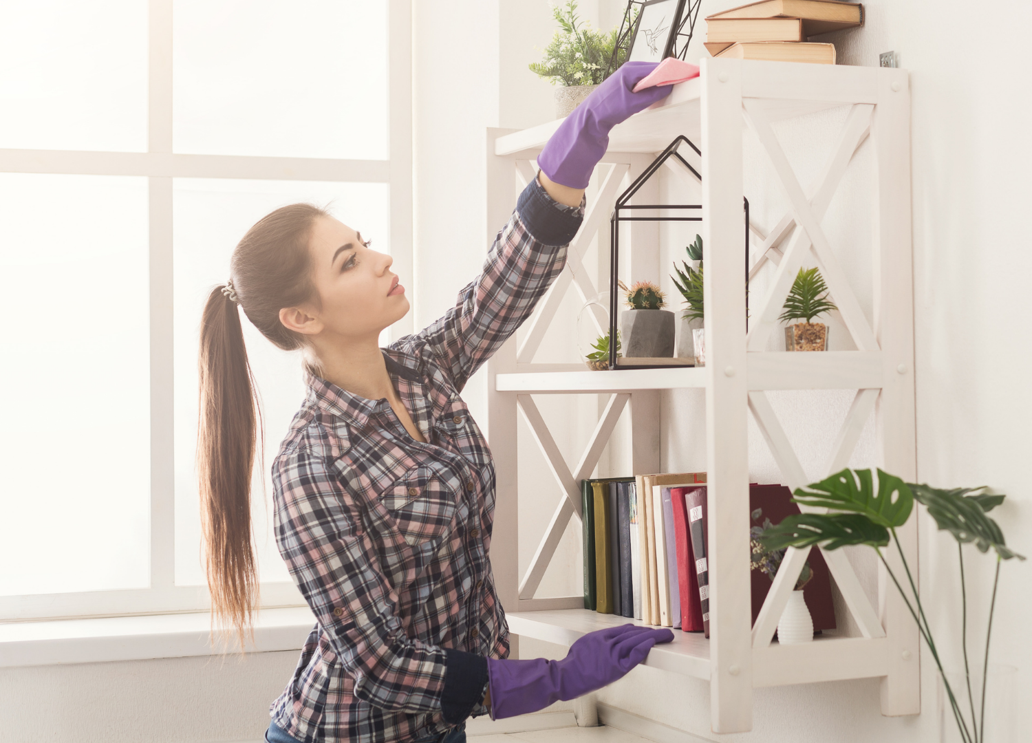 , Spring Cleaning Tips to Prevent Pests