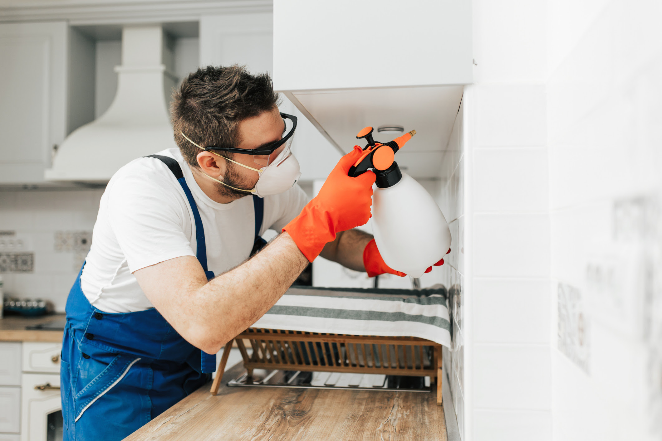 , Spring Cleaning Advice for Pest Control in Toronto